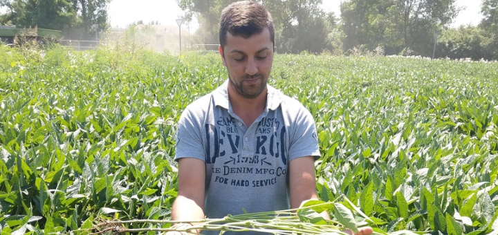 Soia + Natur Rhizo: Rezultatele în imagini!