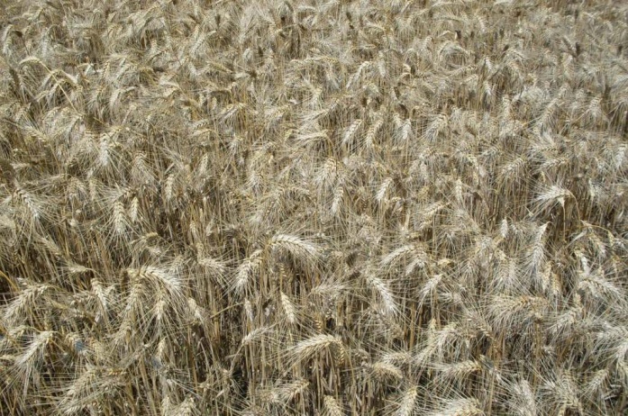 Natur ACTIVE - utána