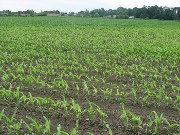 Natur ACTIVE - utána