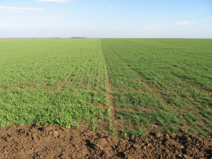 Natur MICRO T - előtte