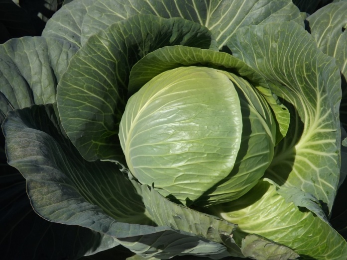 Natur MICRO T, Natur ACTIVE - utána