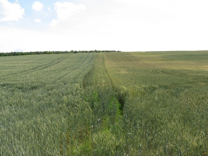 Natur ACTIVE - utána