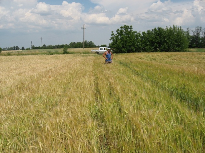 Natur ACTIVE - utána