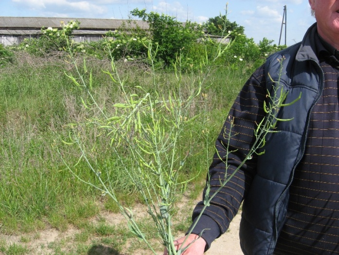 Natur ACTIVE - előtte