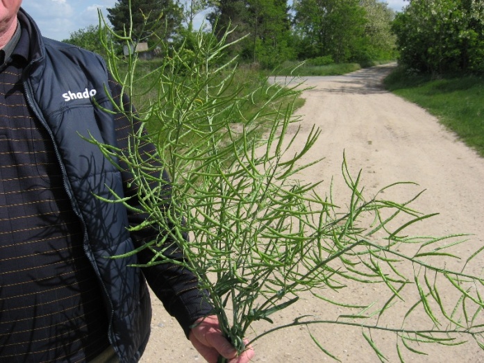 Natur ACTIVE - utána