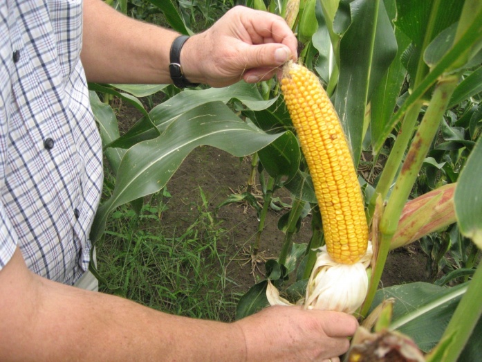 Natur MICRO T, Natur JET, Natur ACTIVE - utána