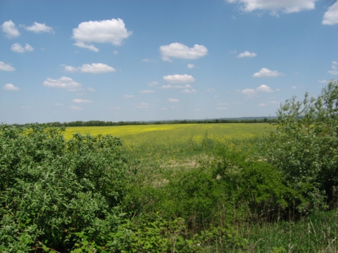 Natur PLASMA, Natur ACTIVE - utána