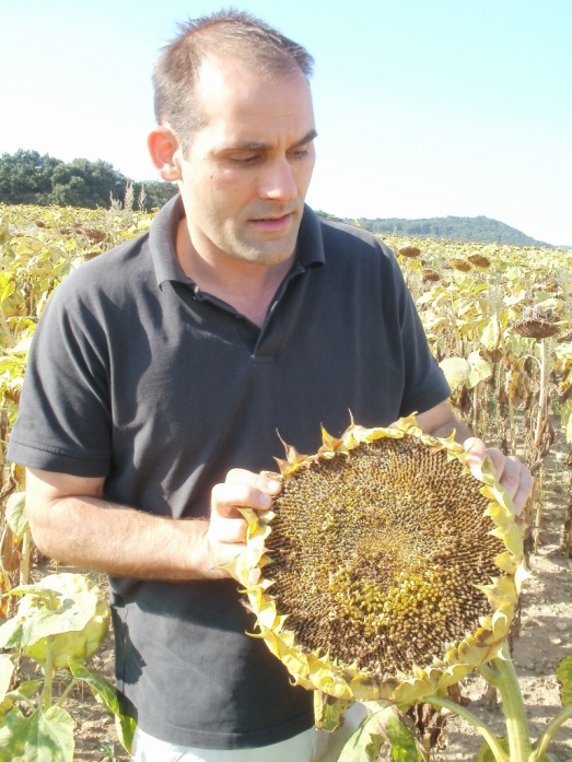 Natur MICRO T, Natur PLASMA - utána